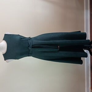 Calvin Klein Hunter Green Suede Dress